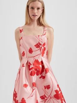 Womem Hobbs Dresses|Amoura Fit And Flare Dress