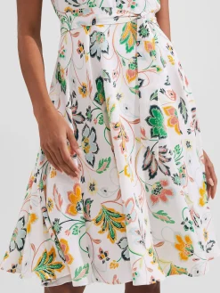 Womem Hobbs Dresses|Belinda Dress