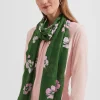Womem Hobbs Scarves|Layla Scarf