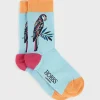 Womem Hobbs Socks & Tights|Parrot Sock