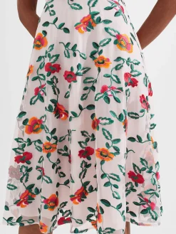 Womem Hobbs Dresses|Tia Embroidered Dress