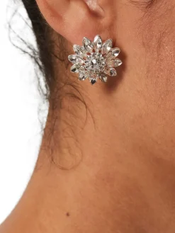 Womem Hobbs Jewellery|Tina Earrings